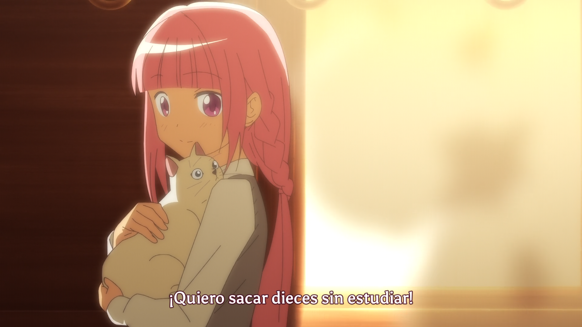 Magia Record: Mahou Shoujo Madoka☆Magica Gaiden (TV) (Ñyuum)